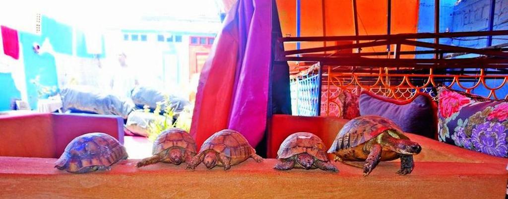 Rainbow Marrakech ξενώνας Μαρακές Εξωτερικό φωτογραφία